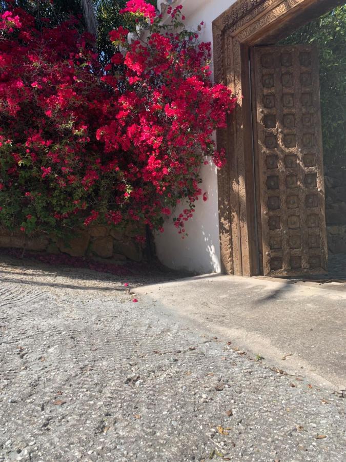 Finca Dariana Padel & Pool Alora Exterior foto